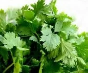 хранение петрушки